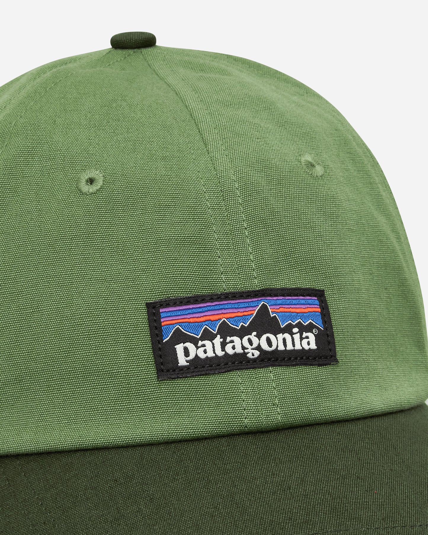 Patagonia P-6 Label Trad Cap Terrain Green  Hats Caps 38296 TNGR